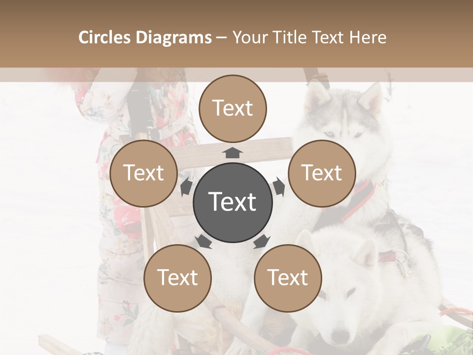 A Woman Riding A Sled With Two Dogs On It PowerPoint Template