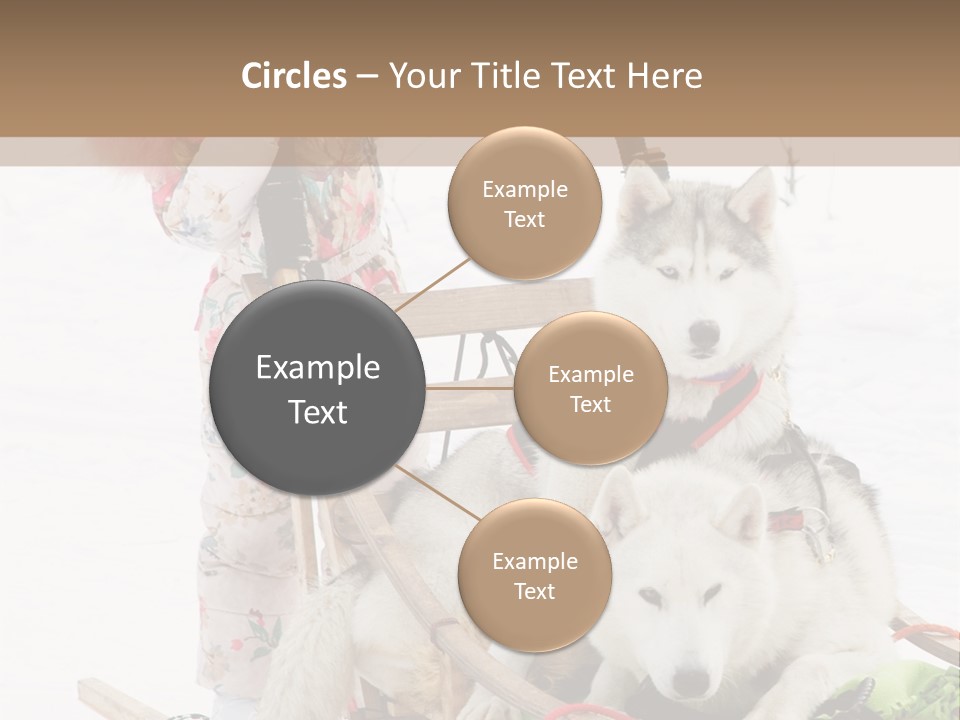 A Woman Riding A Sled With Two Dogs On It PowerPoint Template
