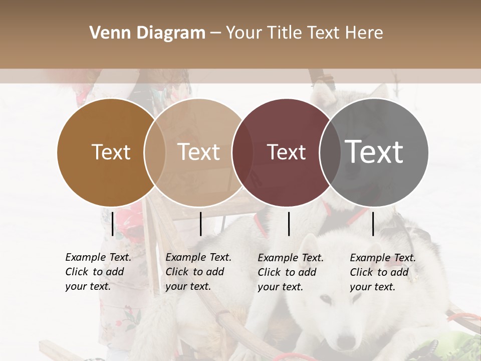 A Woman Riding A Sled With Two Dogs On It PowerPoint Template