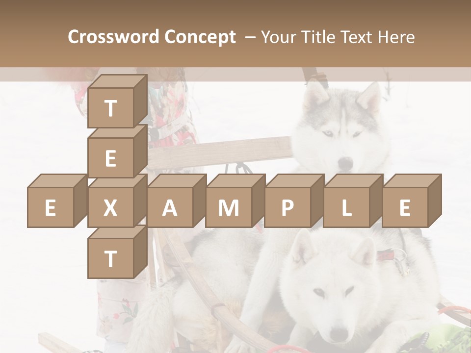 A Woman Riding A Sled With Two Dogs On It PowerPoint Template