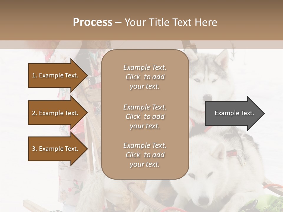 A Woman Riding A Sled With Two Dogs On It PowerPoint Template