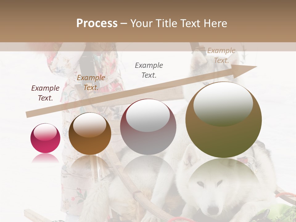 A Woman Riding A Sled With Two Dogs On It PowerPoint Template