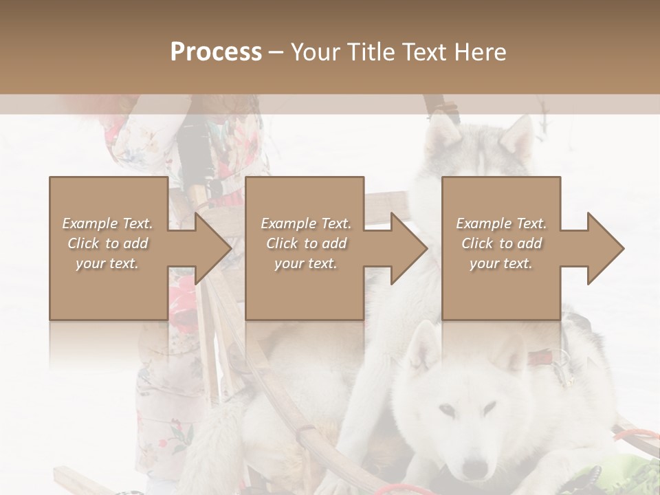 A Woman Riding A Sled With Two Dogs On It PowerPoint Template