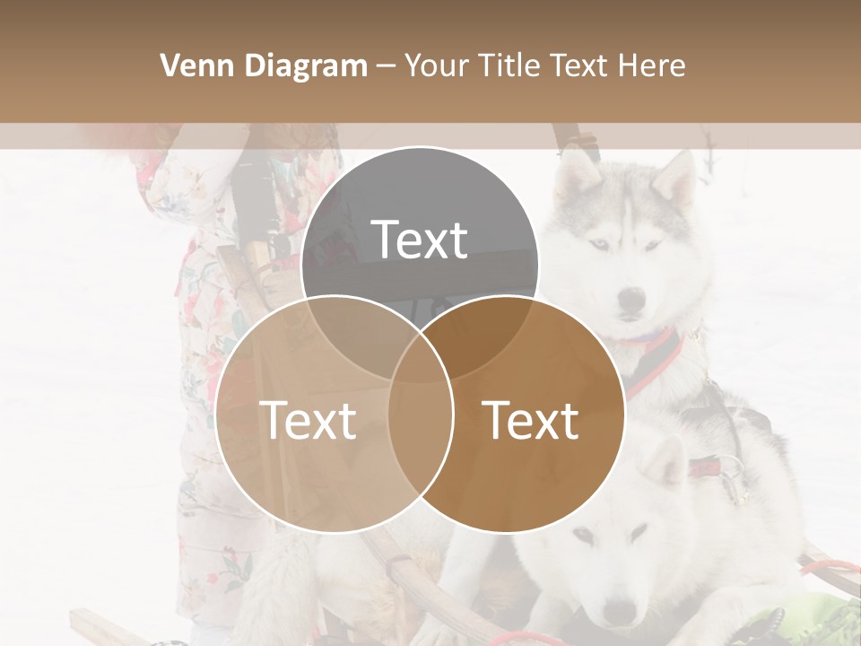A Woman Riding A Sled With Two Dogs On It PowerPoint Template