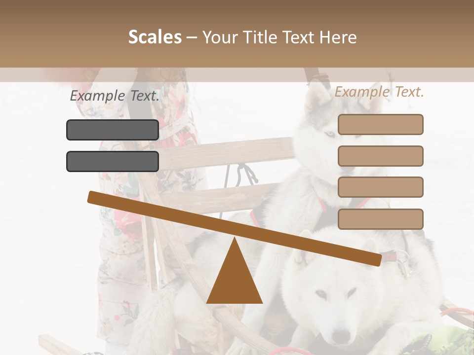 A Woman Riding A Sled With Two Dogs On It PowerPoint Template