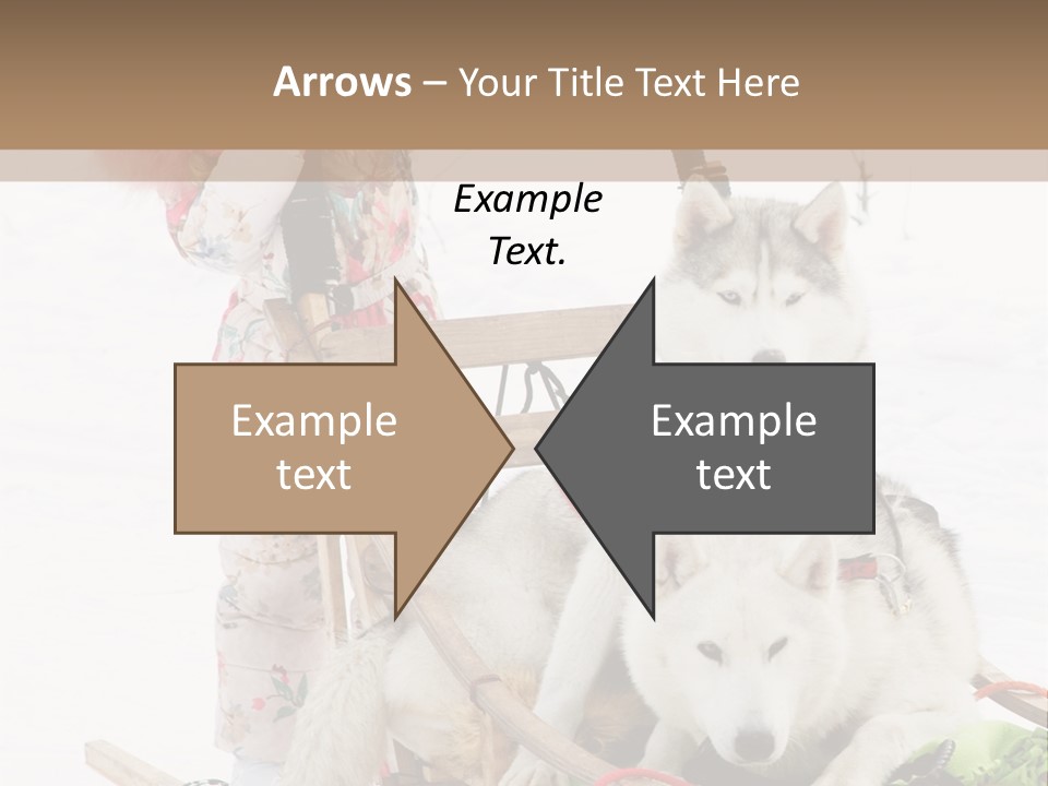 A Woman Riding A Sled With Two Dogs On It PowerPoint Template