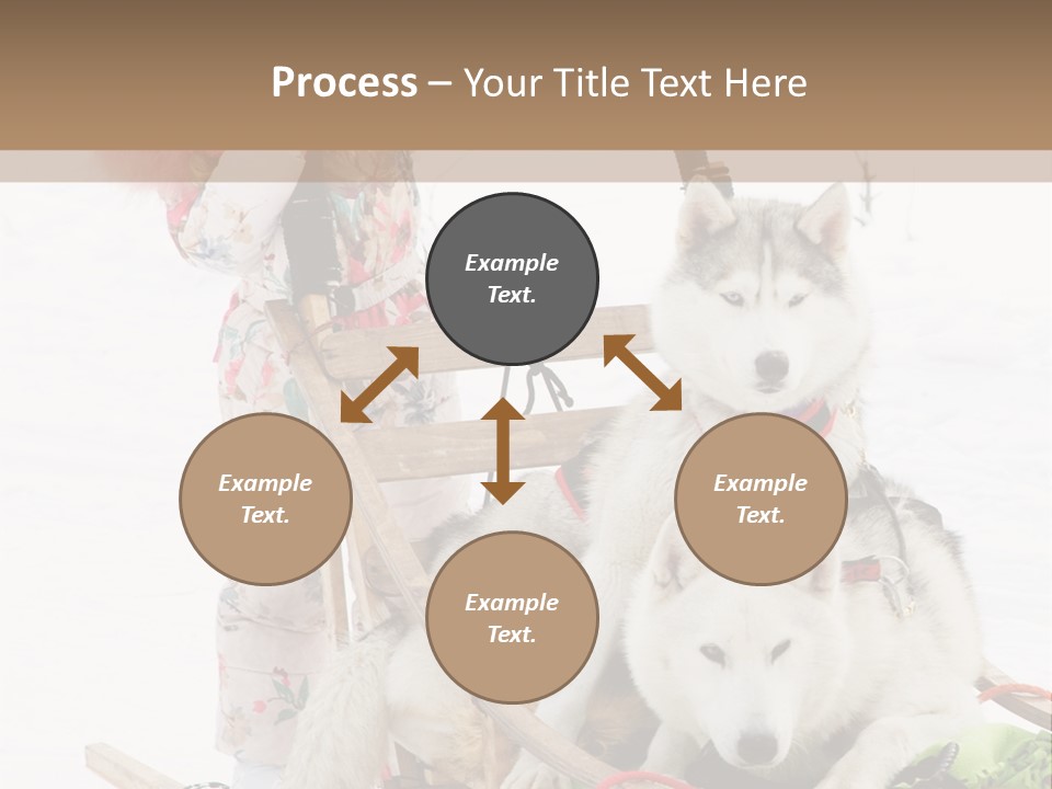 A Woman Riding A Sled With Two Dogs On It PowerPoint Template
