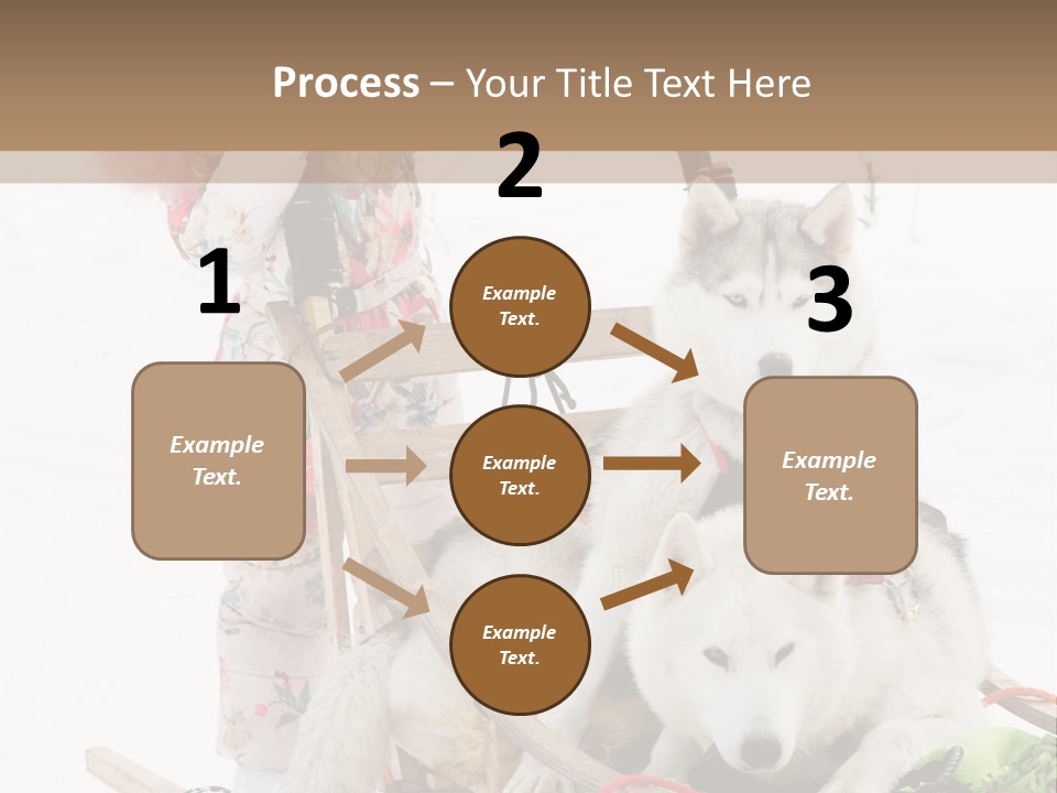 A Woman Riding A Sled With Two Dogs On It PowerPoint Template