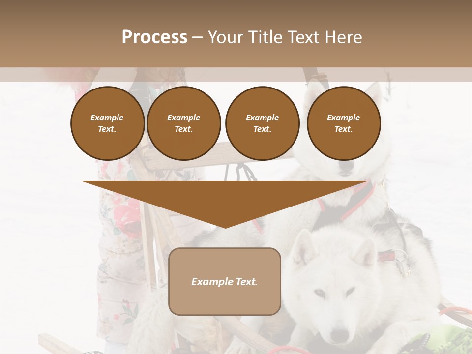 A Woman Riding A Sled With Two Dogs On It PowerPoint Template