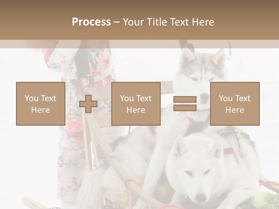 A Woman Riding A Sled With Two Dogs On It PowerPoint Template