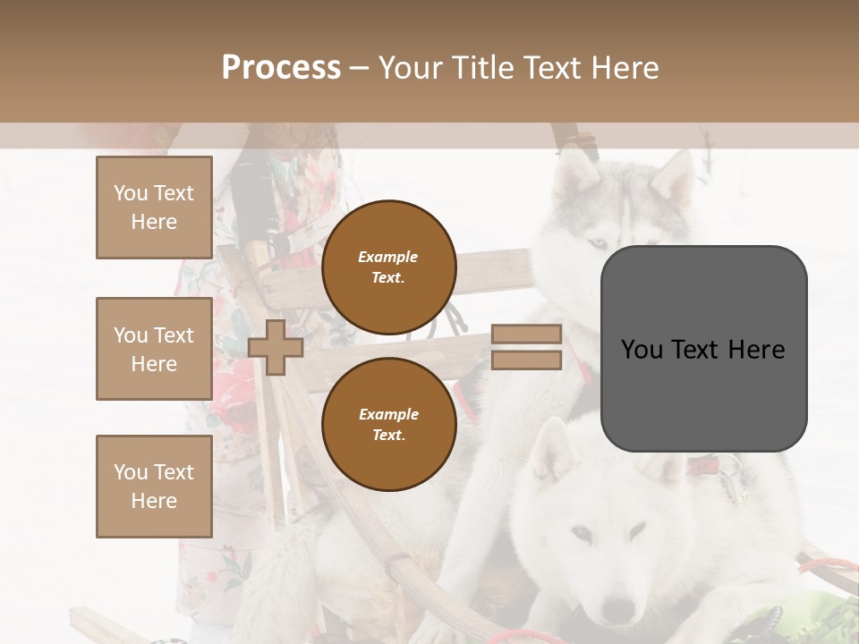 A Woman Riding A Sled With Two Dogs On It PowerPoint Template
