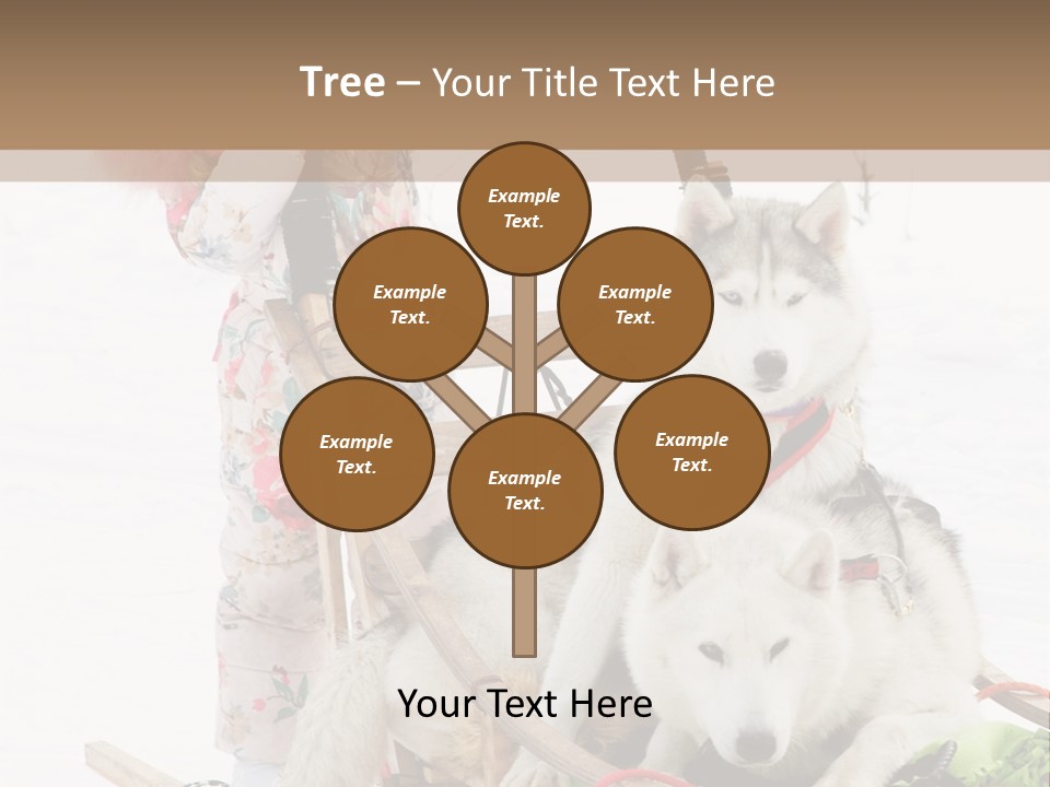 A Woman Riding A Sled With Two Dogs On It PowerPoint Template