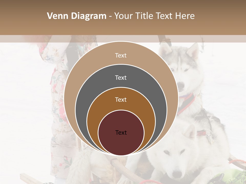 A Woman Riding A Sled With Two Dogs On It PowerPoint Template