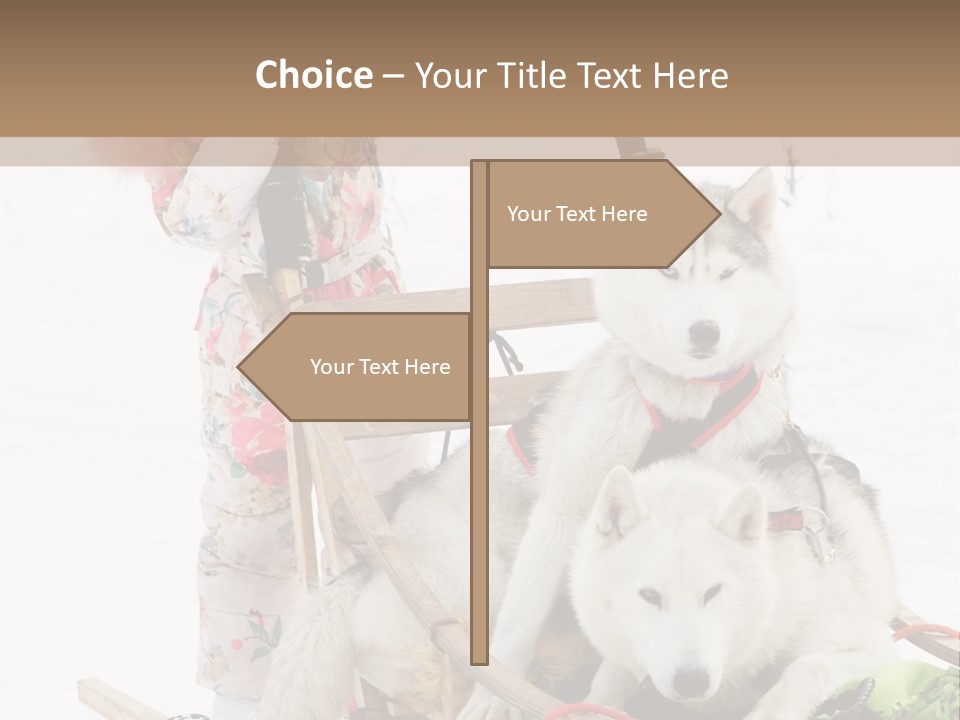 A Woman Riding A Sled With Two Dogs On It PowerPoint Template