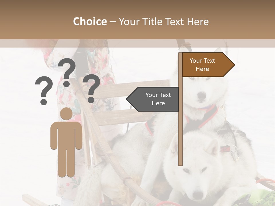 A Woman Riding A Sled With Two Dogs On It PowerPoint Template