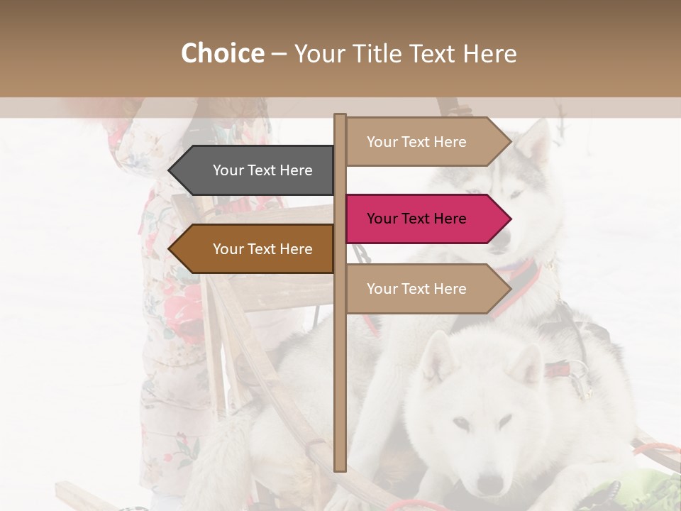 A Woman Riding A Sled With Two Dogs On It PowerPoint Template
