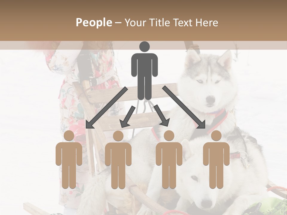 A Woman Riding A Sled With Two Dogs On It PowerPoint Template