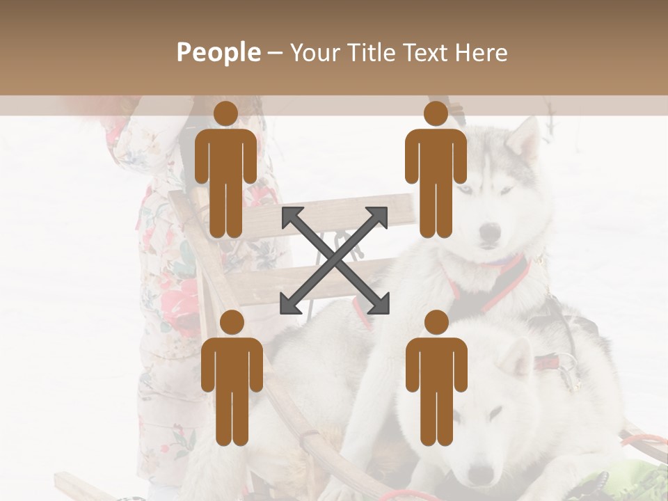 A Woman Riding A Sled With Two Dogs On It PowerPoint Template