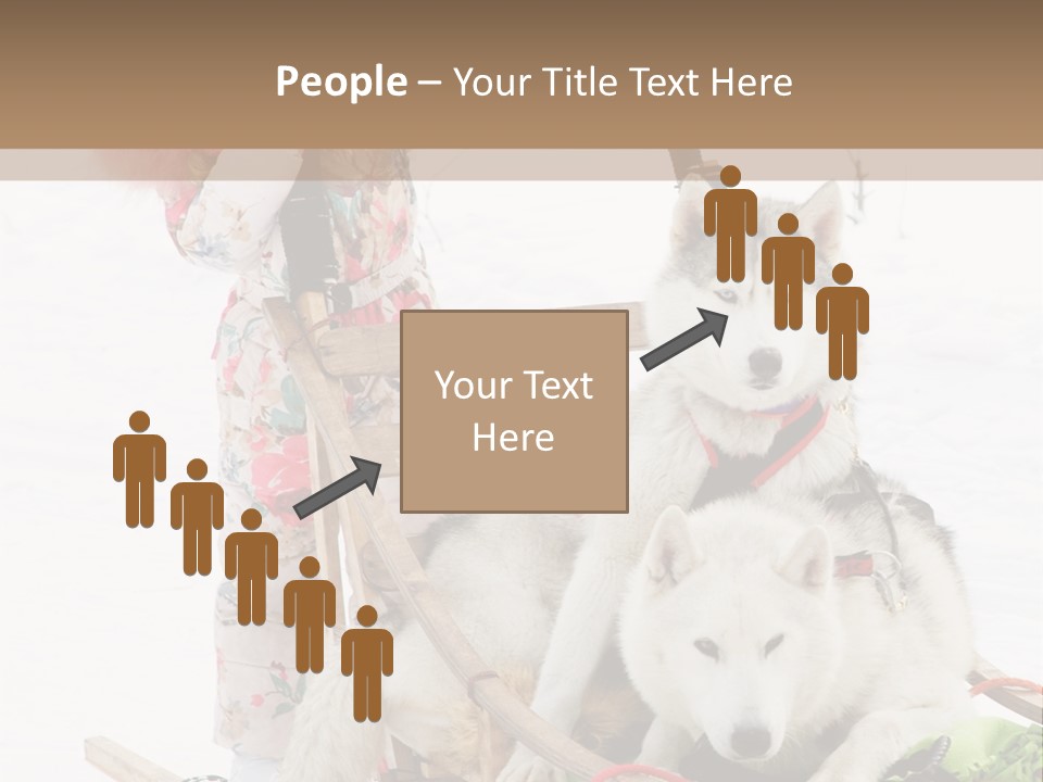 A Woman Riding A Sled With Two Dogs On It PowerPoint Template