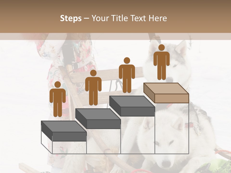 A Woman Riding A Sled With Two Dogs On It PowerPoint Template