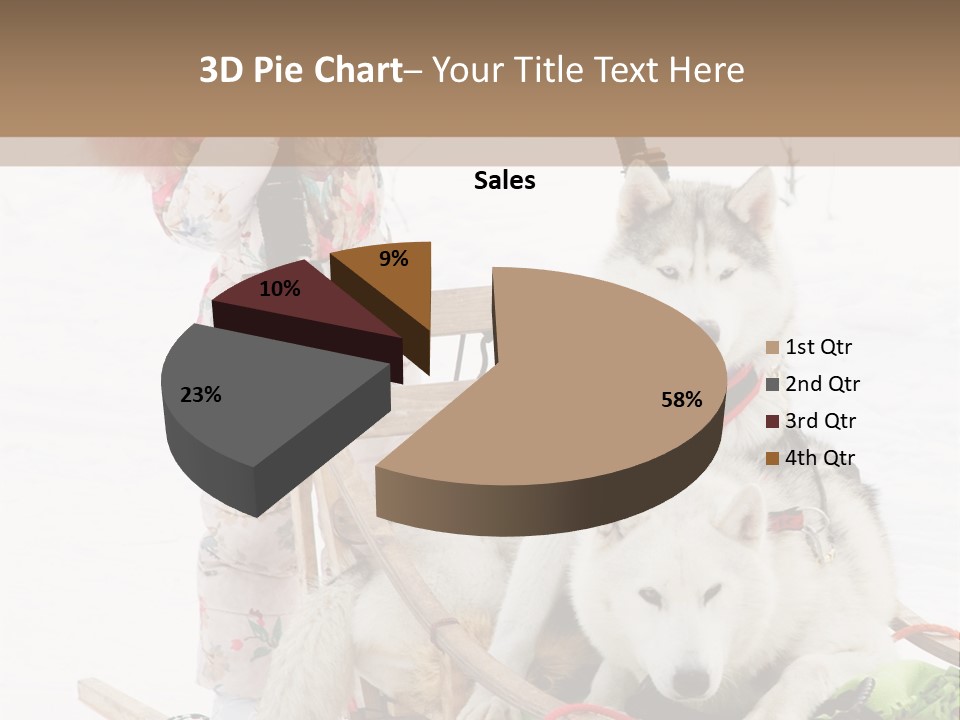 A Woman Riding A Sled With Two Dogs On It PowerPoint Template