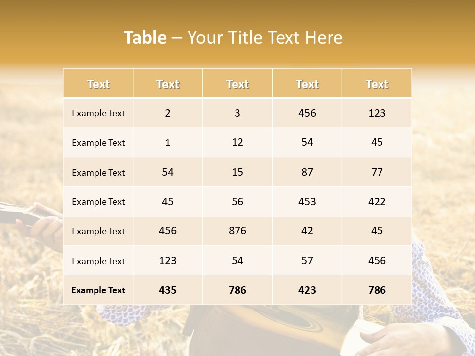 A Woman Sitting In A Field Holding A Guitar PowerPoint Template