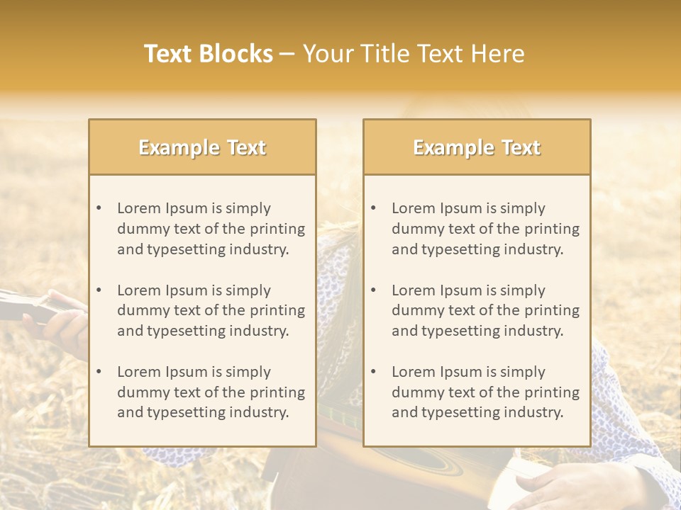 A Woman Sitting In A Field Holding A Guitar PowerPoint Template