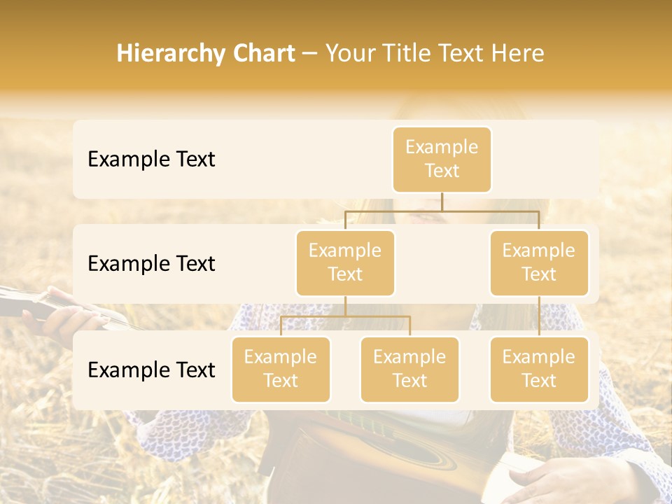 A Woman Sitting In A Field Holding A Guitar PowerPoint Template