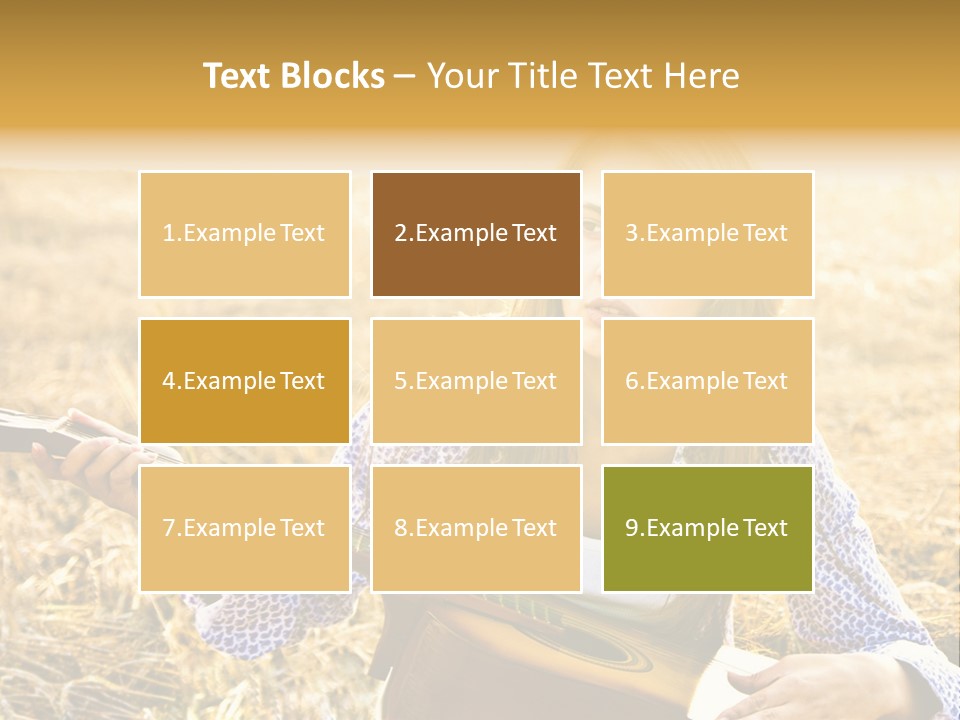 A Woman Sitting In A Field Holding A Guitar PowerPoint Template