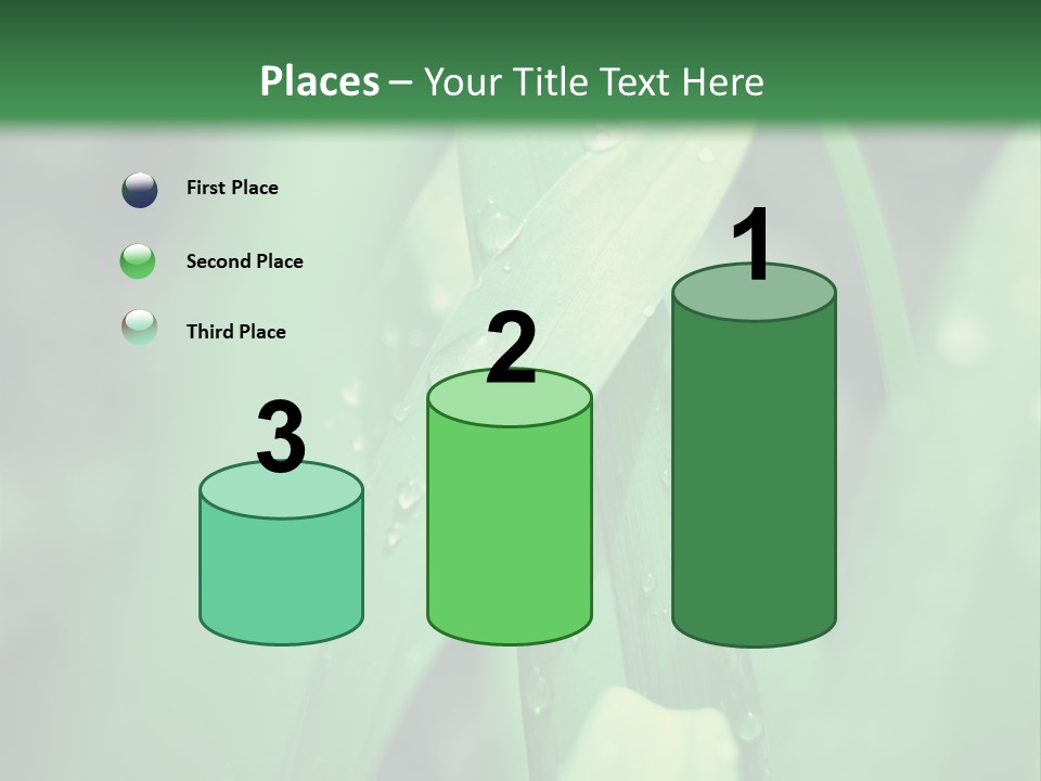 A Green Plant With Drops Of Water On It PowerPoint Template