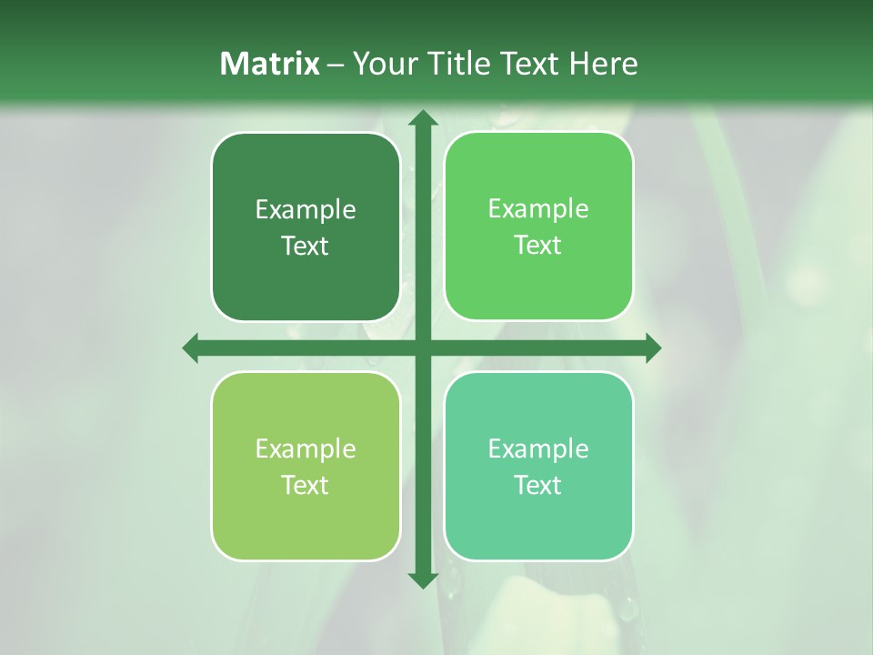 A Green Plant With Drops Of Water On It PowerPoint Template