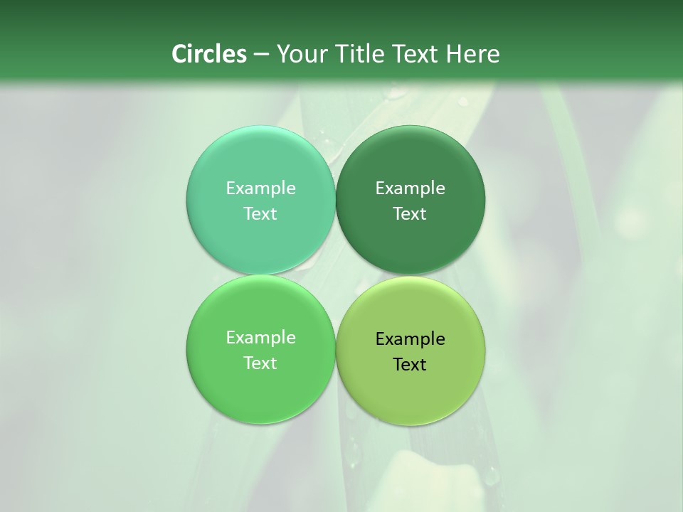 A Green Plant With Drops Of Water On It PowerPoint Template