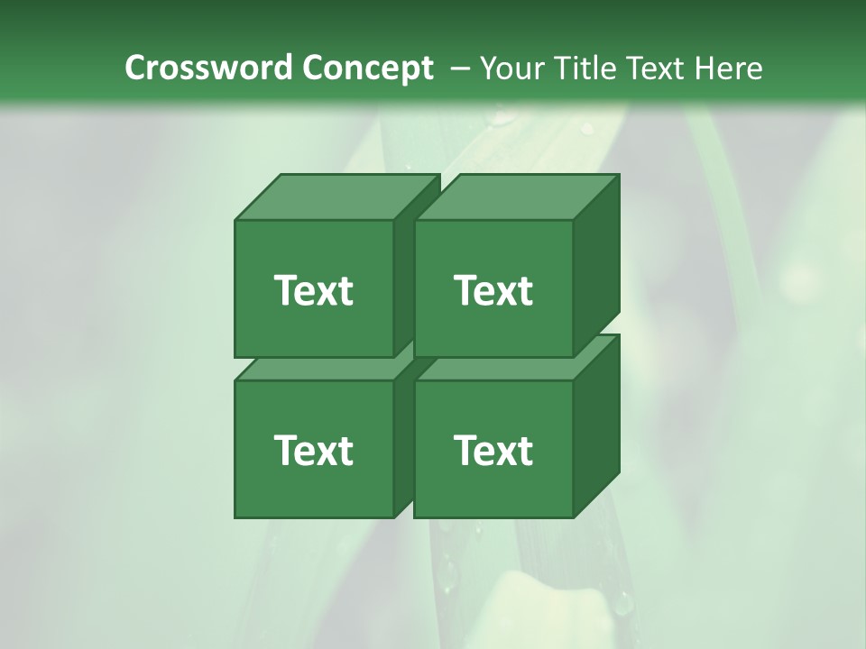 A Green Plant With Drops Of Water On It PowerPoint Template