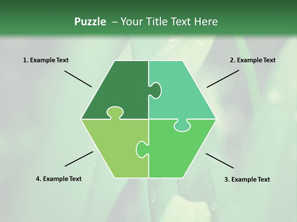 A Green Plant With Drops Of Water On It PowerPoint Template