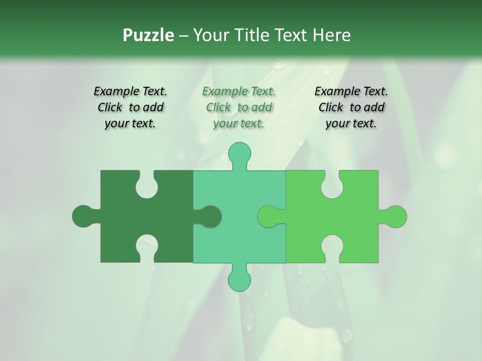 A Green Plant With Drops Of Water On It PowerPoint Template