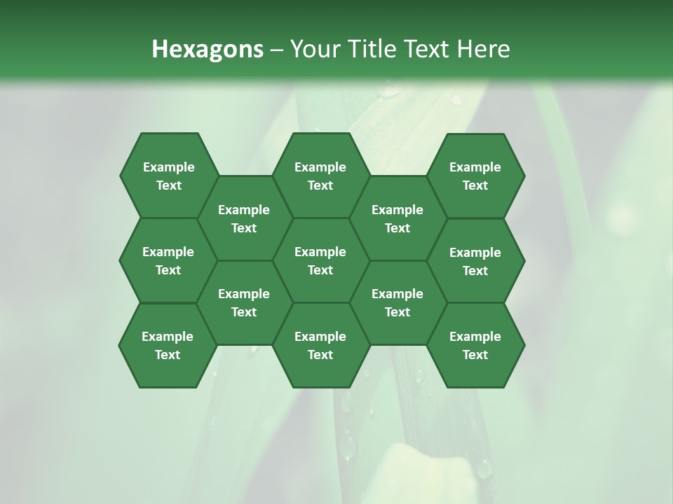 A Green Plant With Drops Of Water On It PowerPoint Template