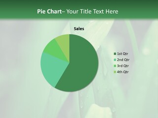 A Green Plant With Drops Of Water On It PowerPoint Template