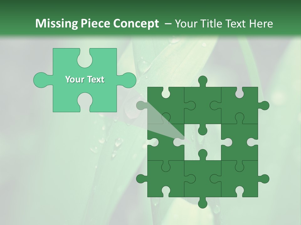 A Green Plant With Drops Of Water On It PowerPoint Template