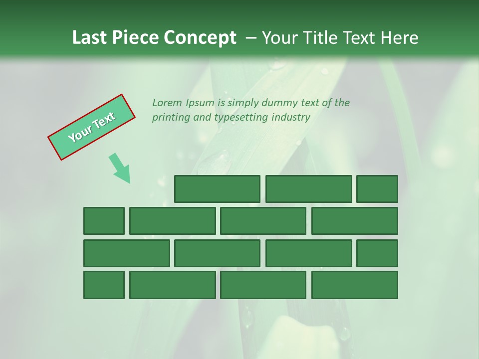 A Green Plant With Drops Of Water On It PowerPoint Template