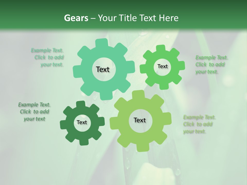 A Green Plant With Drops Of Water On It PowerPoint Template