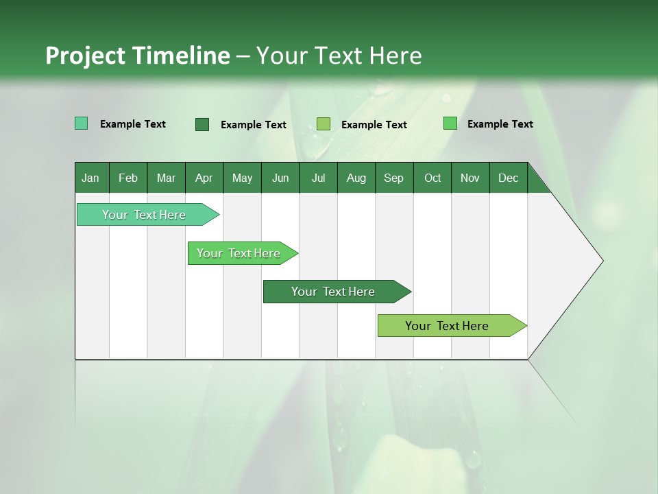 A Green Plant With Drops Of Water On It PowerPoint Template