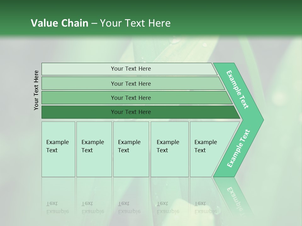 A Green Plant With Drops Of Water On It PowerPoint Template