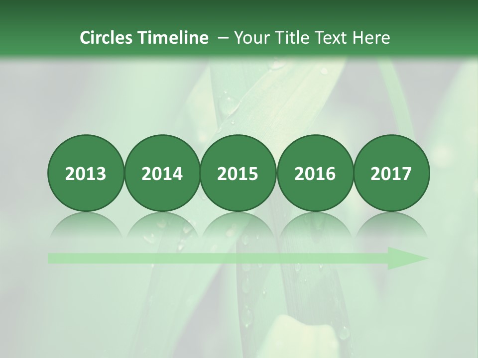 A Green Plant With Drops Of Water On It PowerPoint Template