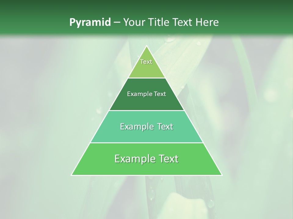 A Green Plant With Drops Of Water On It PowerPoint Template