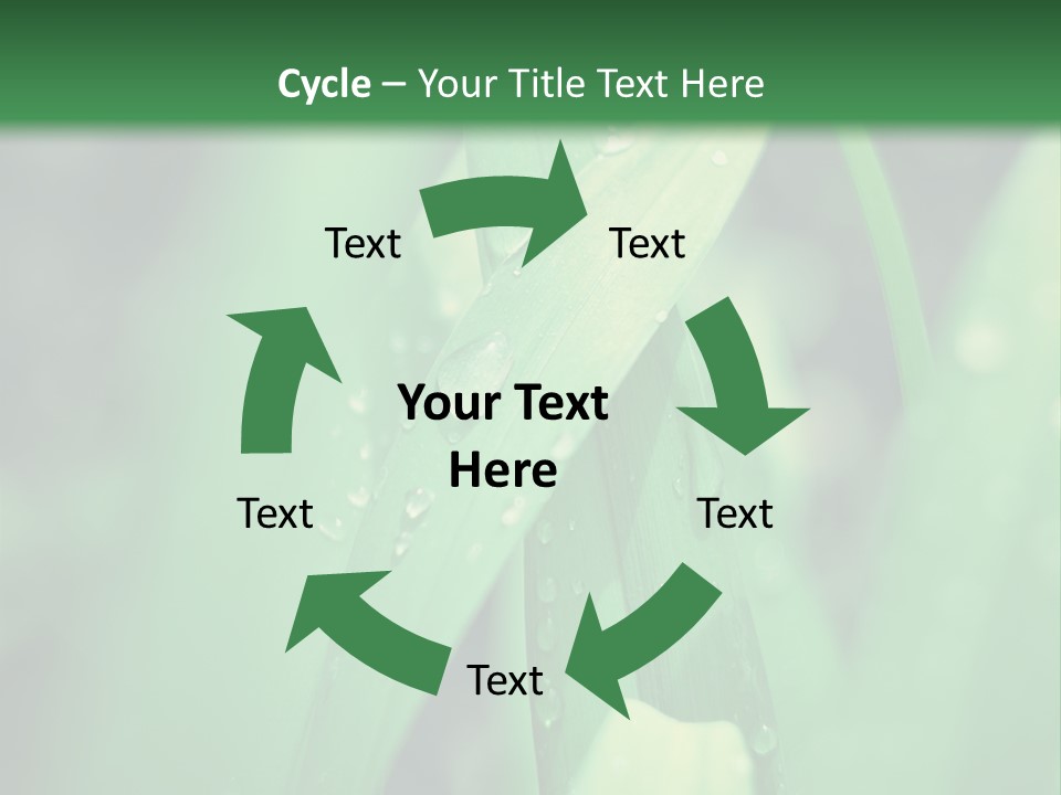 A Green Plant With Drops Of Water On It PowerPoint Template