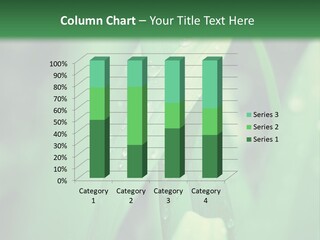 A Green Plant With Drops Of Water On It PowerPoint Template