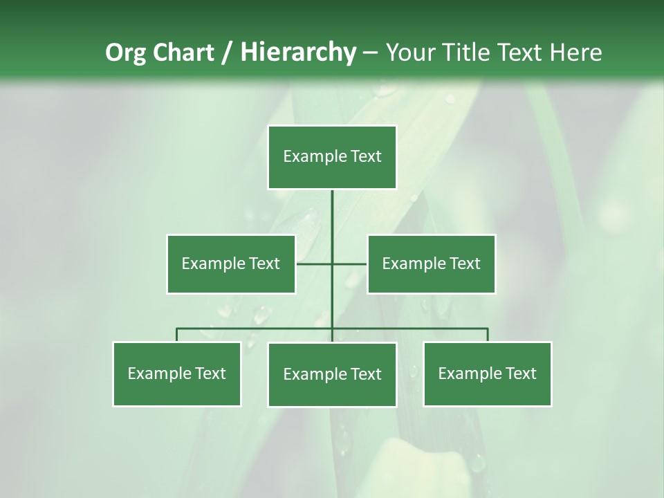 A Green Plant With Drops Of Water On It PowerPoint Template