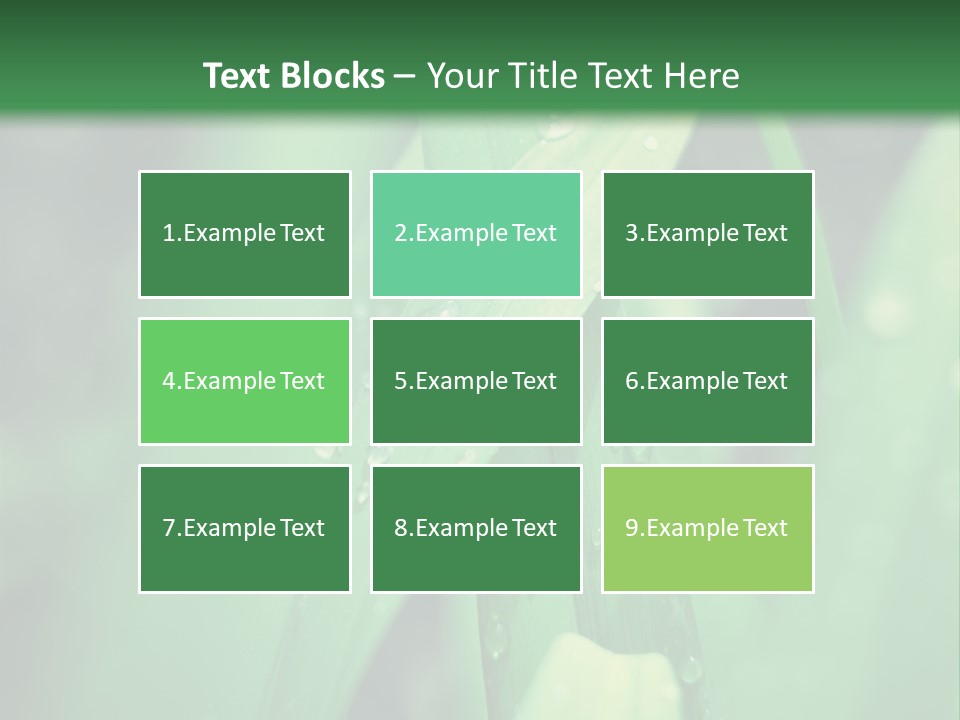 A Green Plant With Drops Of Water On It PowerPoint Template