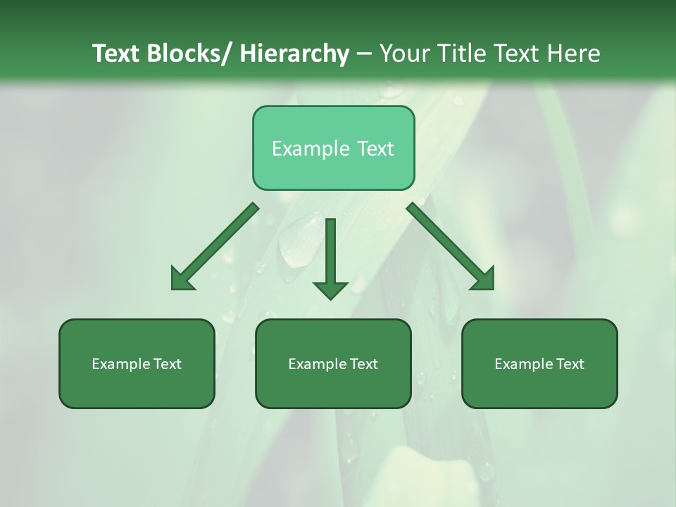 A Green Plant With Drops Of Water On It PowerPoint Template