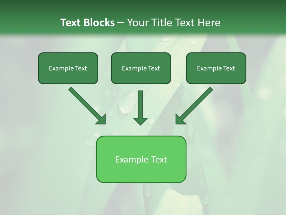 A Green Plant With Drops Of Water On It PowerPoint Template